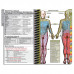 MDpocket® EVMS Internal Medicine Resident